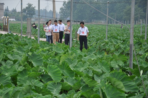 ����Э�Ӳ���Ķ�߲˻��ؽ���